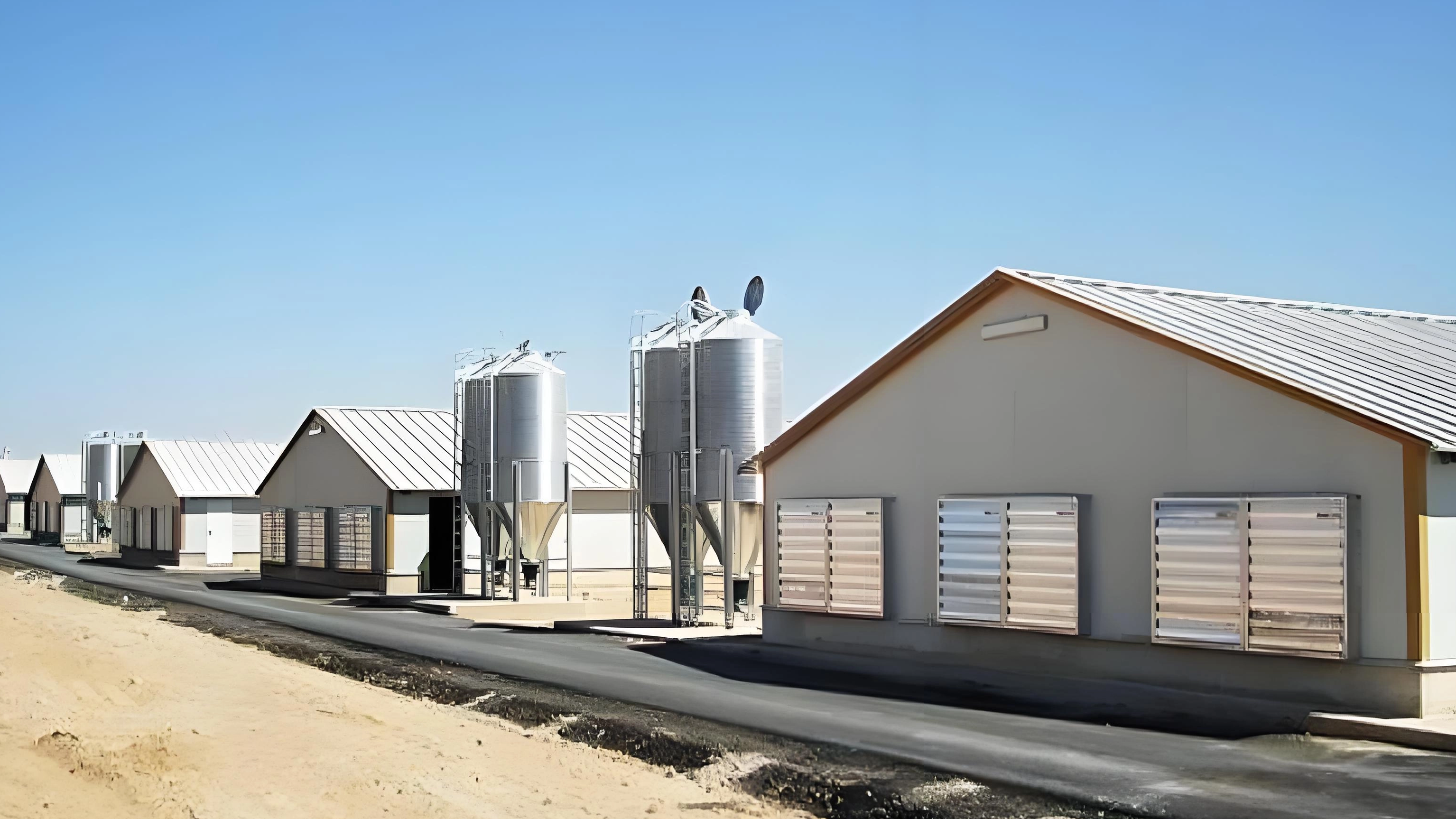 Steel Frame Poultry House